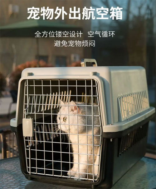 宠物空运