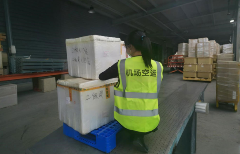 上海东方航空快递官网焕新升级，服务再上新台阶