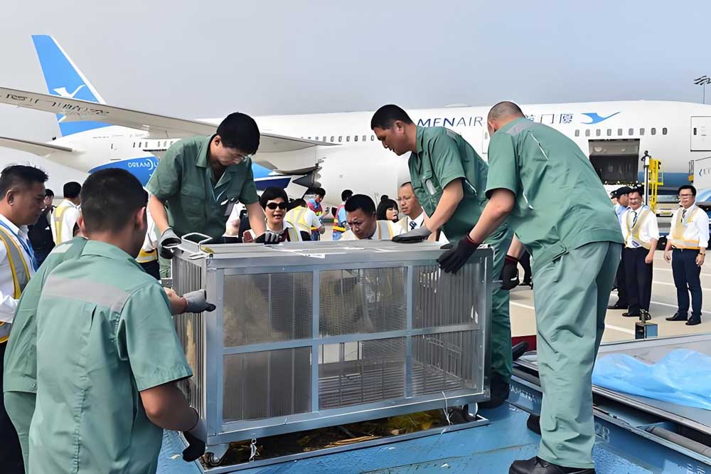 厦门航空物流.jpg